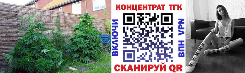 ТГК Wax  мега ссылки  Северодвинск 