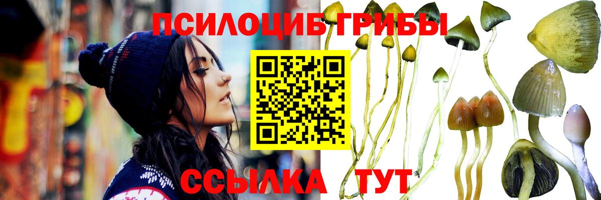 Псилоцибиновые грибы ЛСД Северодвинск